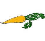 carrot.gif - 3.7 K