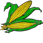 corn.gif - 7.7 K