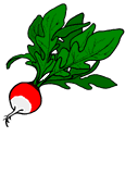 radish.gif - 4.1 K