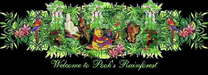 Welcome to Pooh's Rainforest